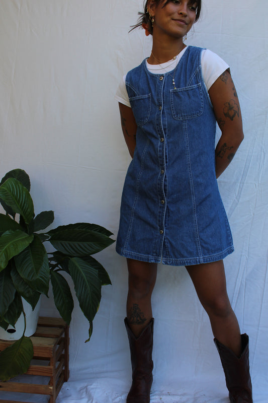 Vintage Denim Button Front Mini Dress